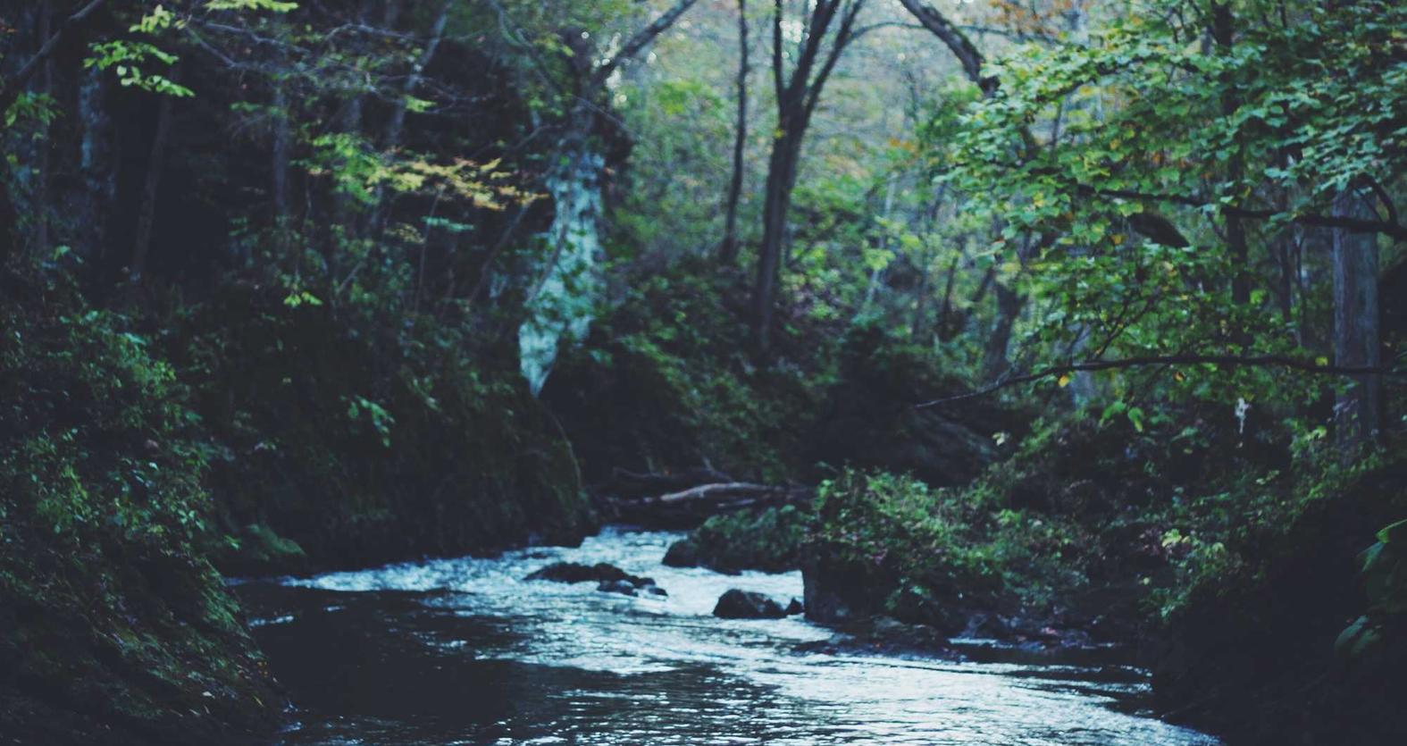 蓝冠娱乐，注册|迷你摆件购买平台