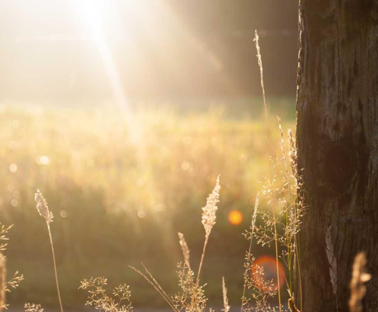 解读DDOS网络攻击防护- 餐饮注册公司代理