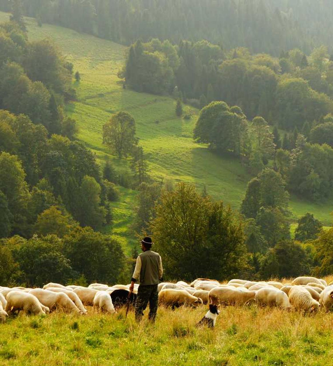 啪啪三国2:眉山内资公司注册代理价格