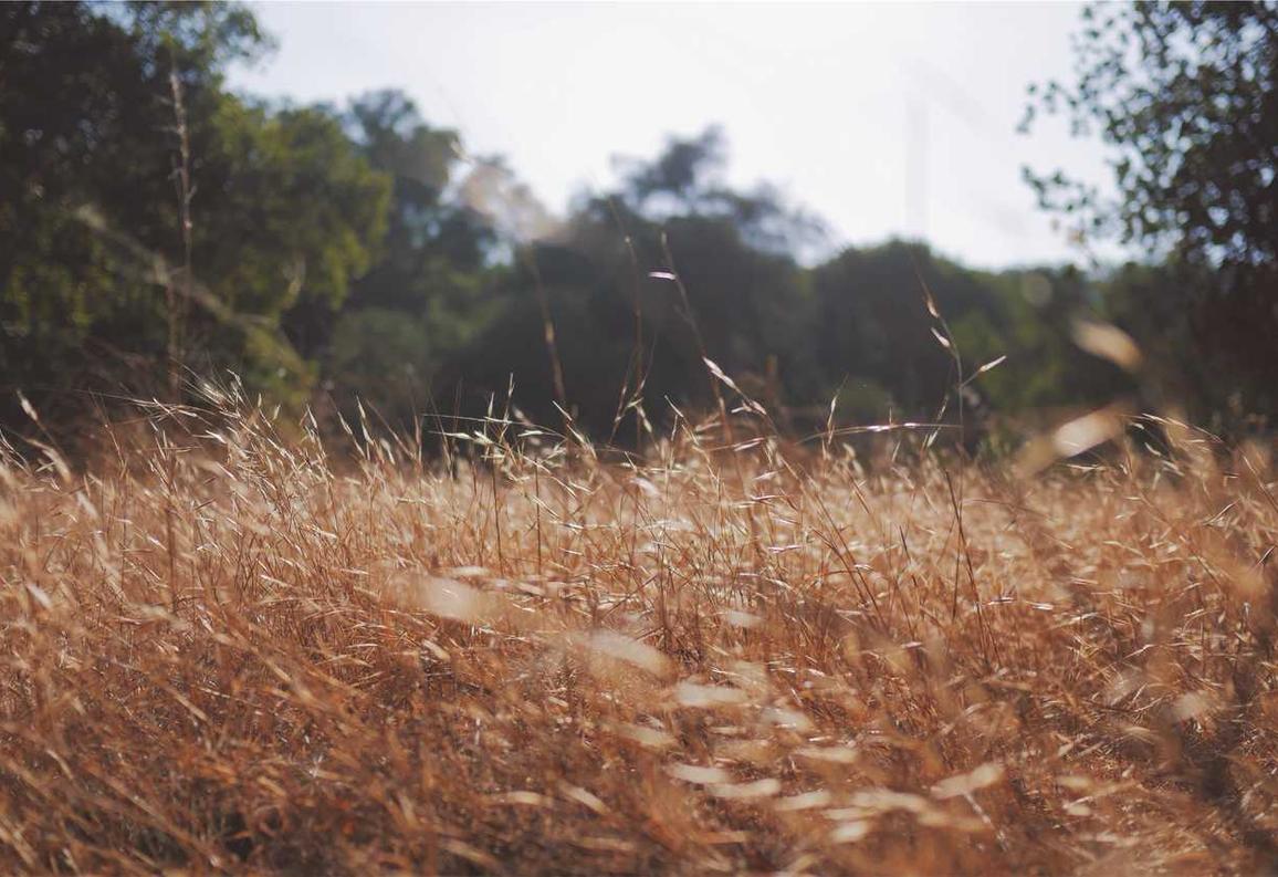 乐语通讯实名账号:仓储代理注册公司注册案例
