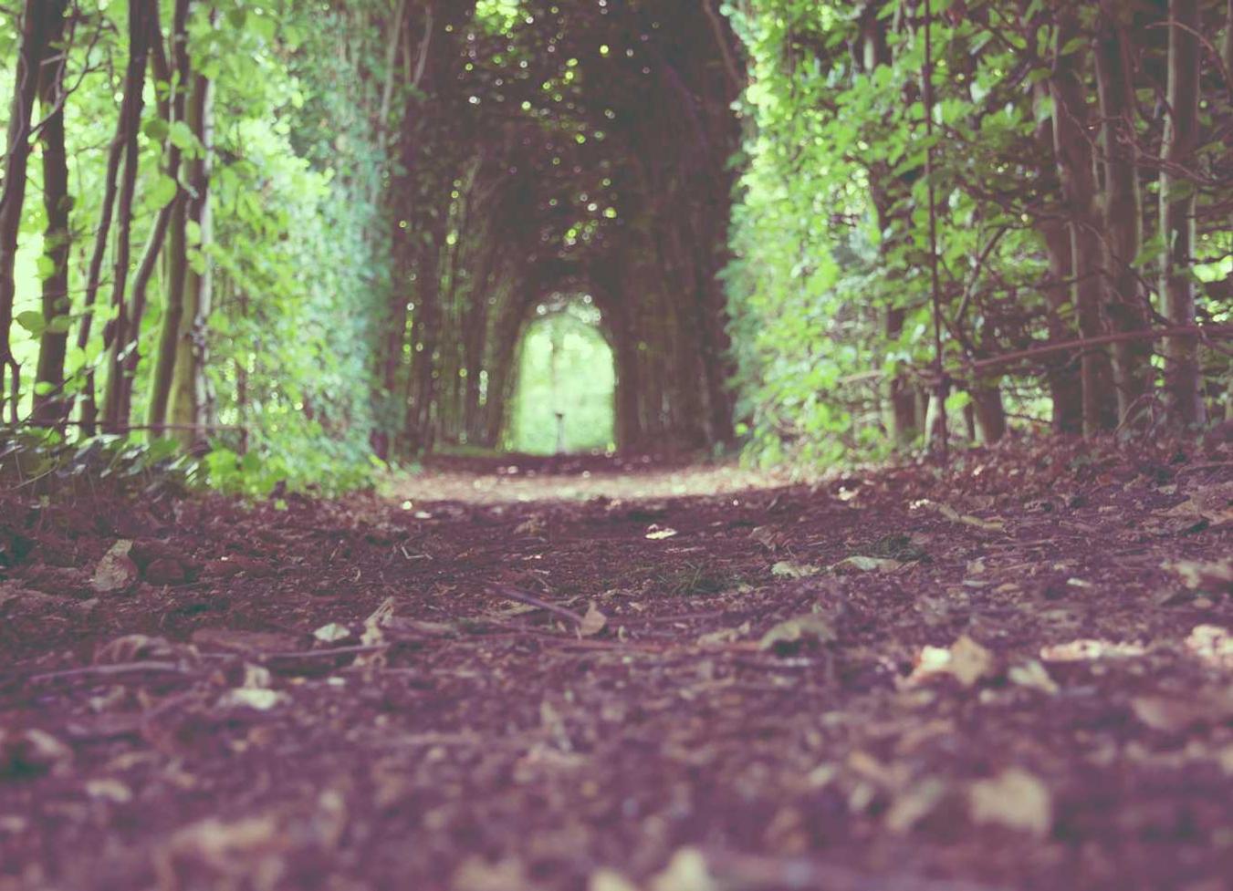 万泰娱乐,注册|免费详情下载教程安康app