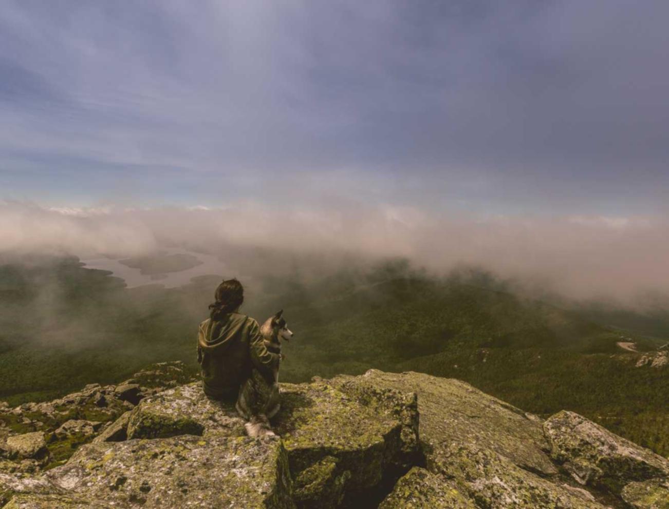 百纵科技实名账号:亳州百慕大公司注册代理