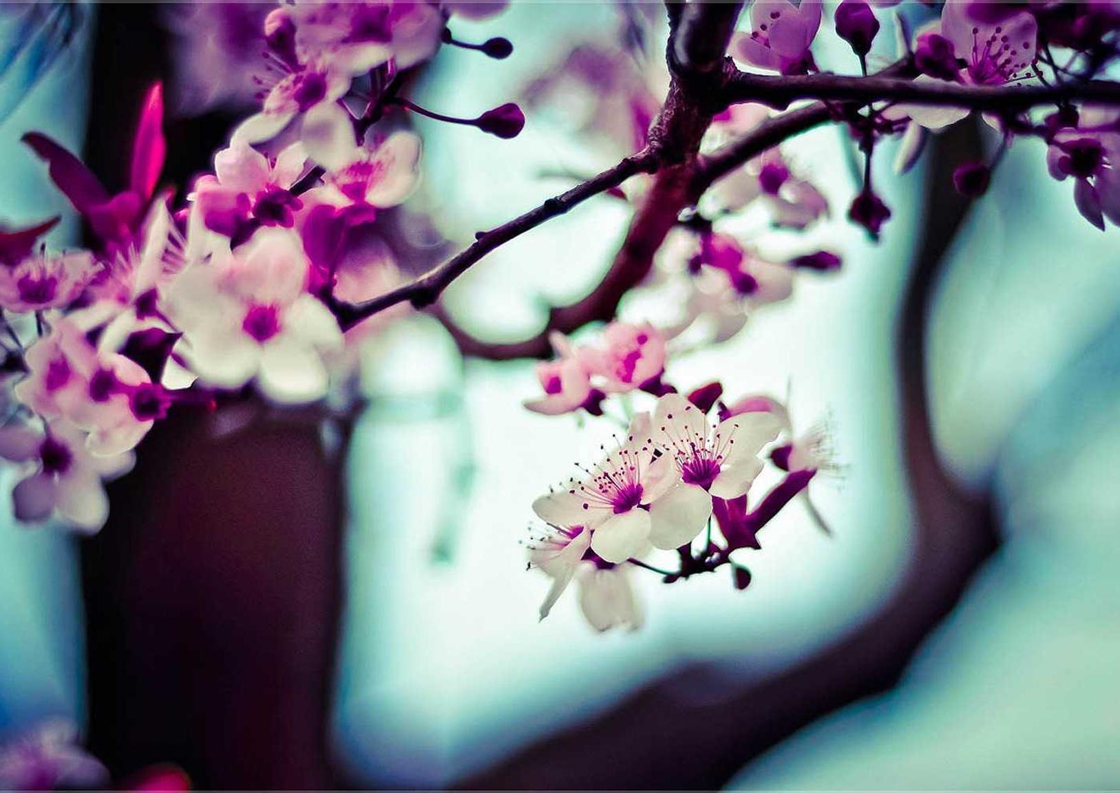 三牛娱乐,注册|舟山注册公司代理价格多少