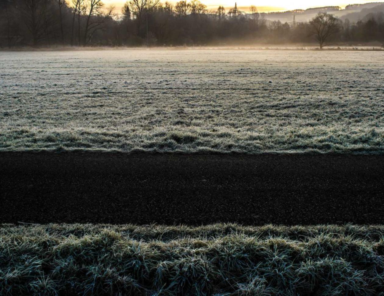 出口荷花(软):莘庄注册公司代理