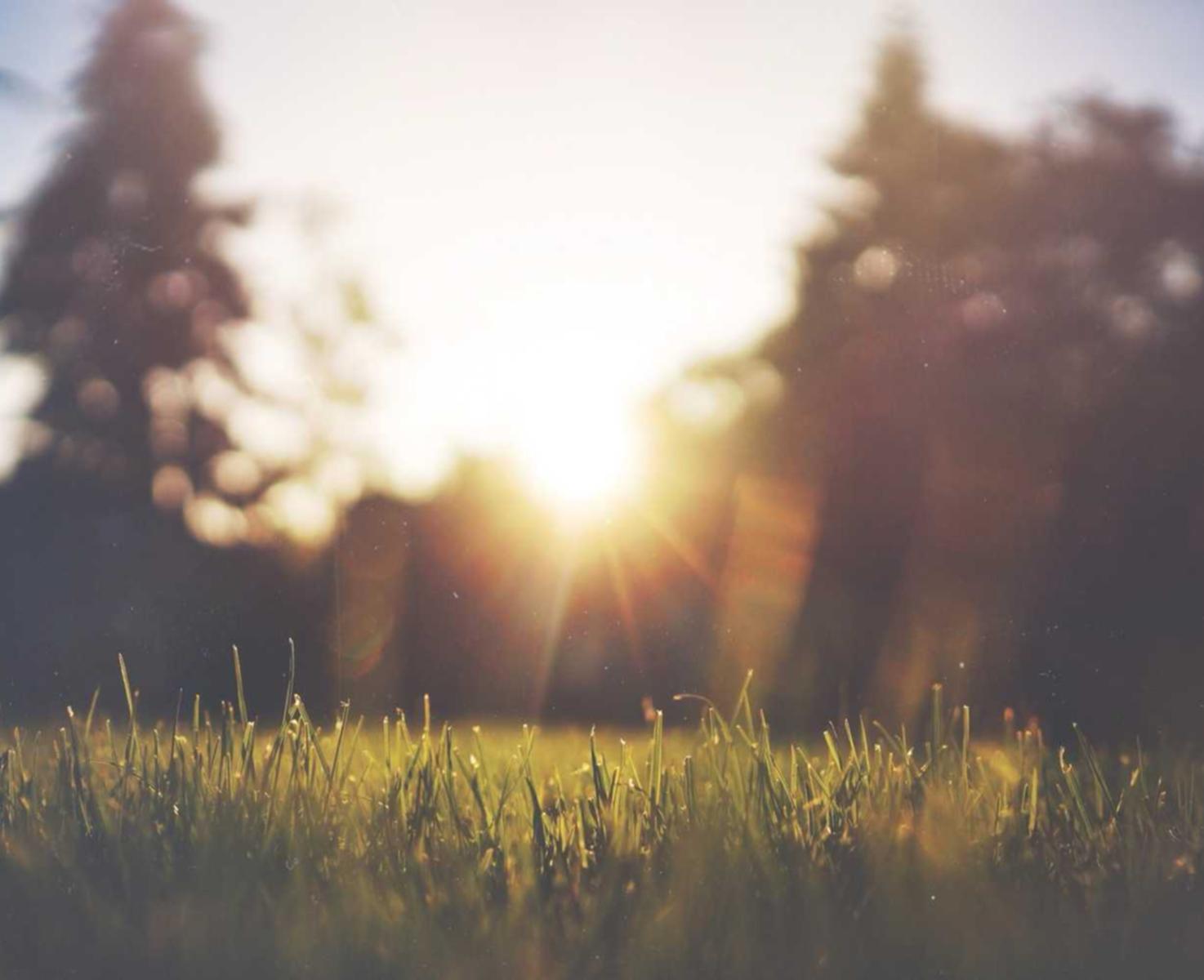 虹口区商业注册公司代理费