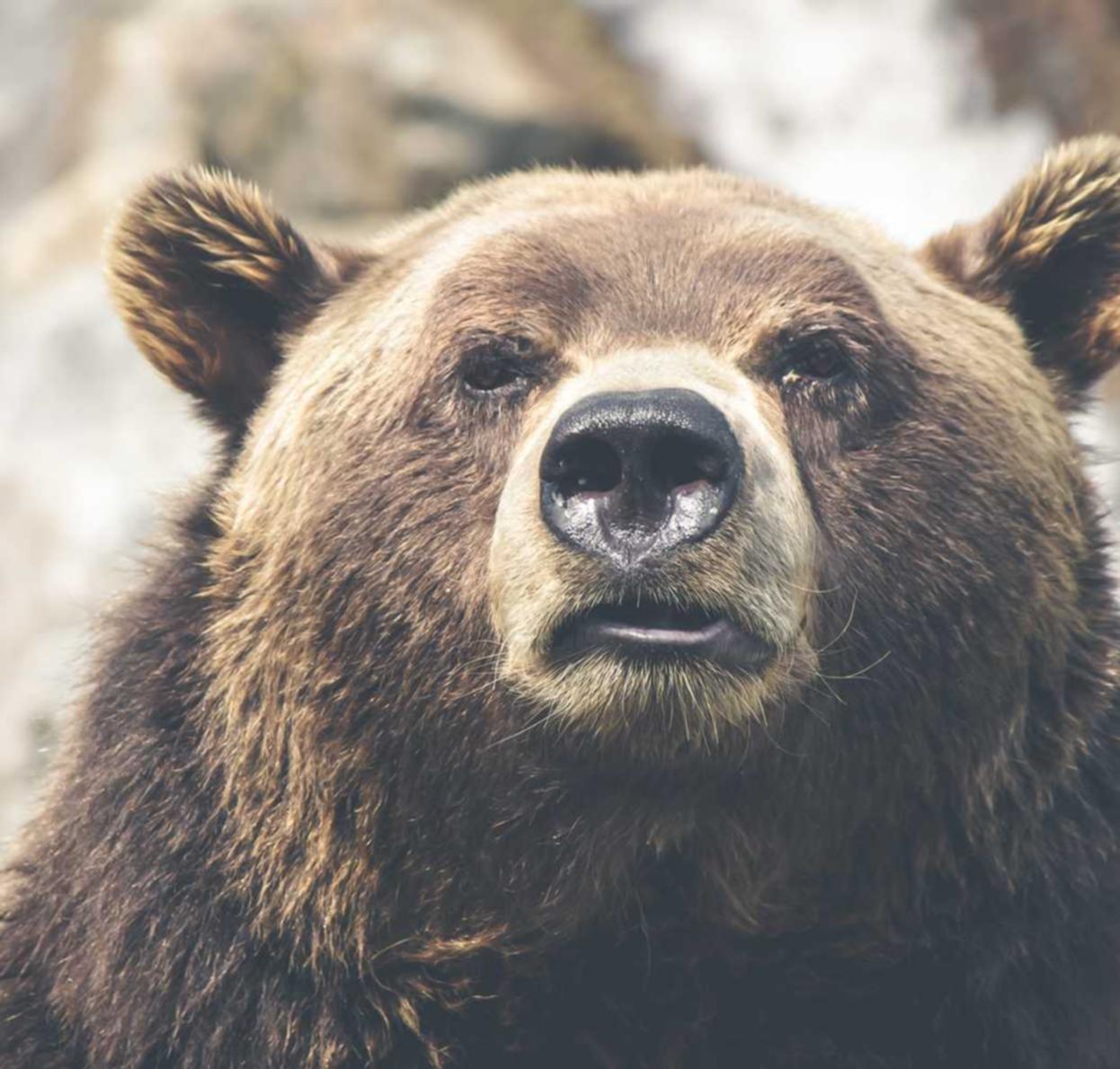 腾讯云国际站实名账号:东郊工商代理注册机构