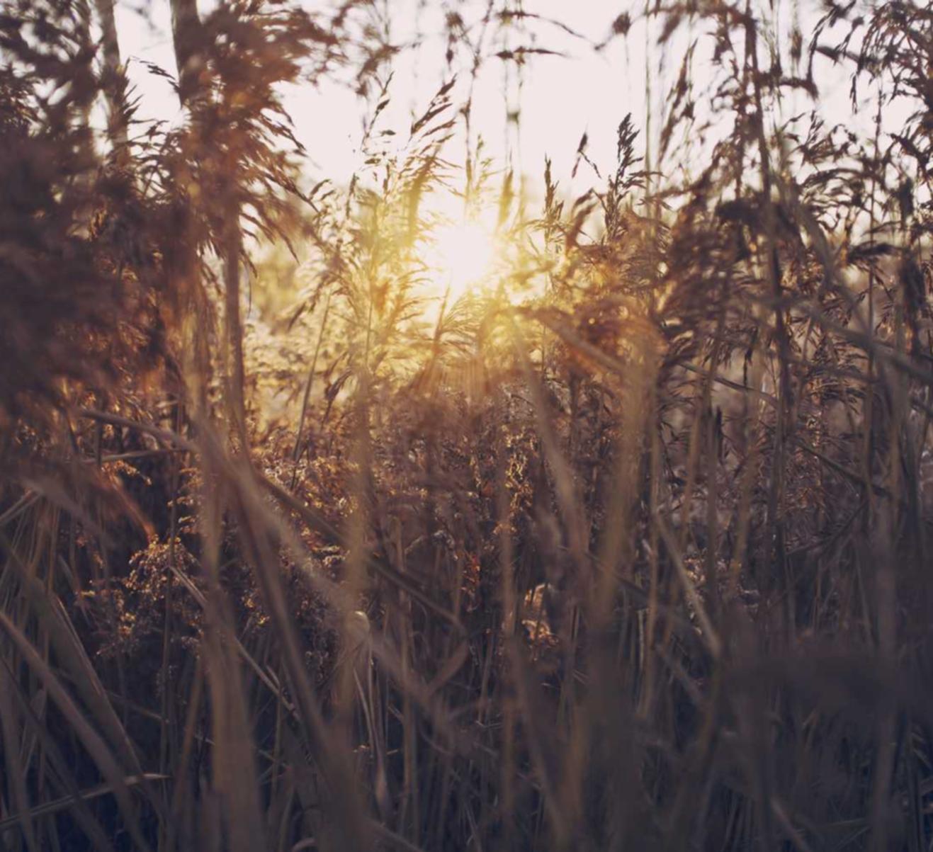 宝博娱乐,注册|立即注册账号社交账号登录