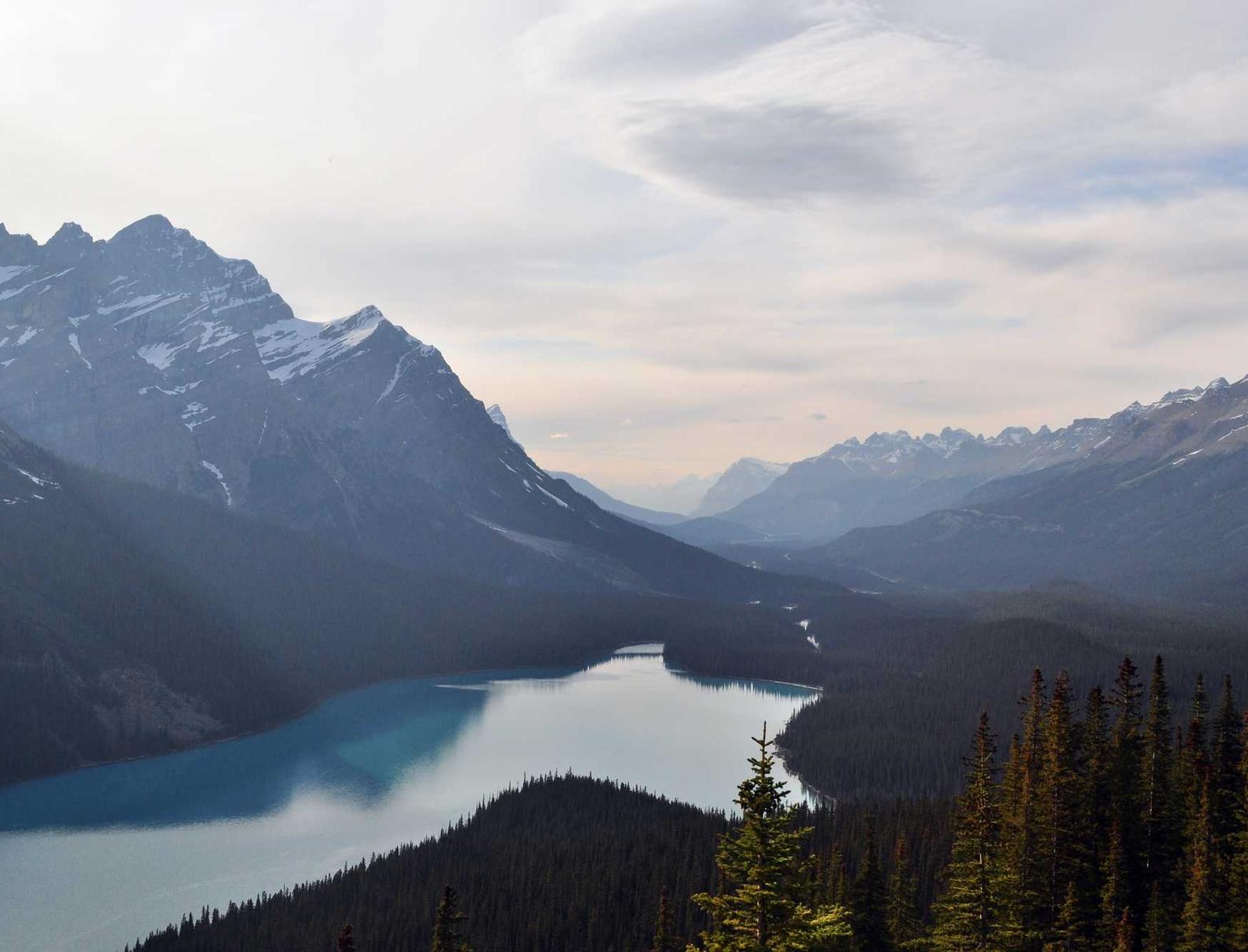 铁塔猫太阳橙子爆珠(粗):购买wti原油平台