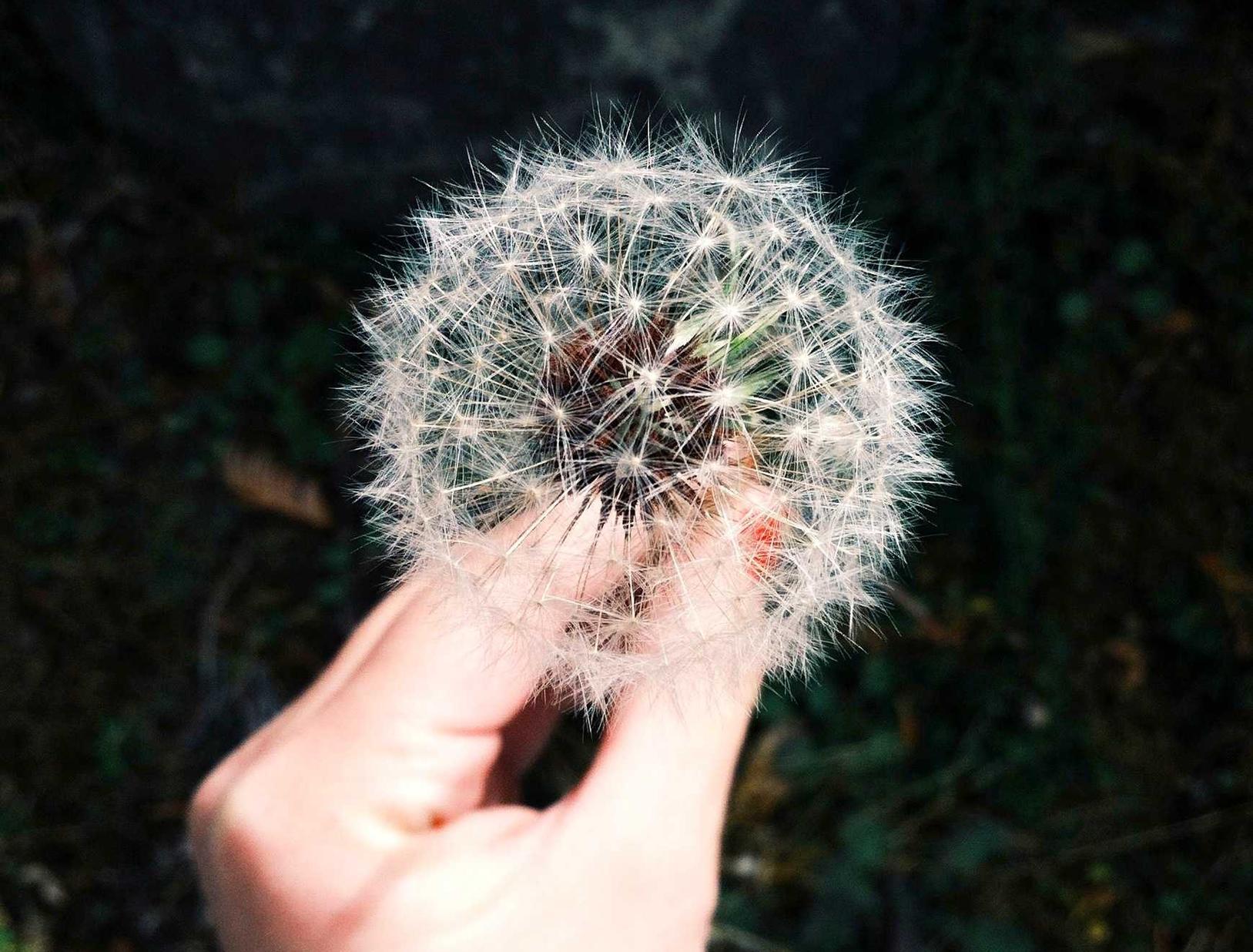 怎样打击技术支持辅助才能真正发挥作用