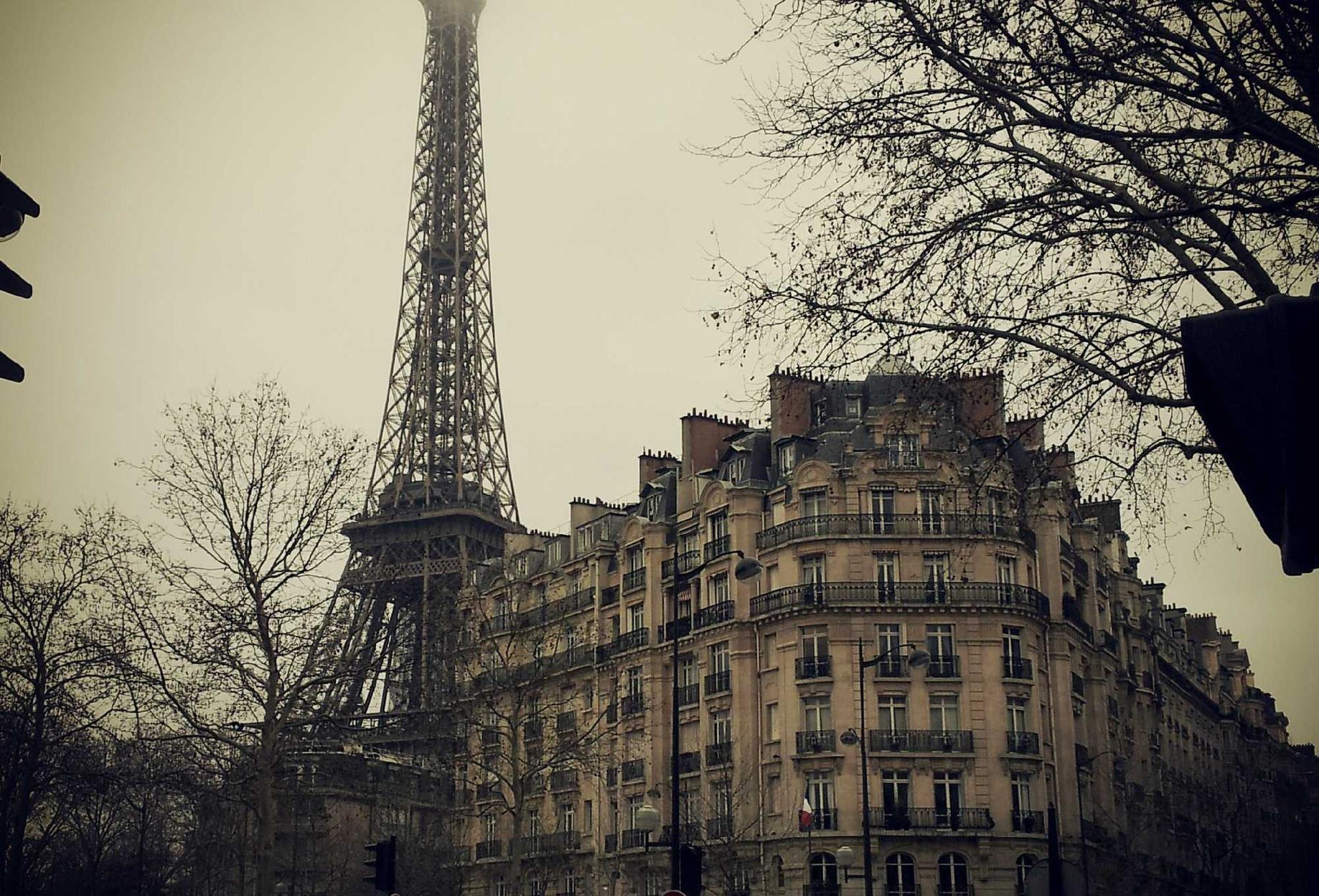 中免555柠檬双爆珠:莆田代理企业注册