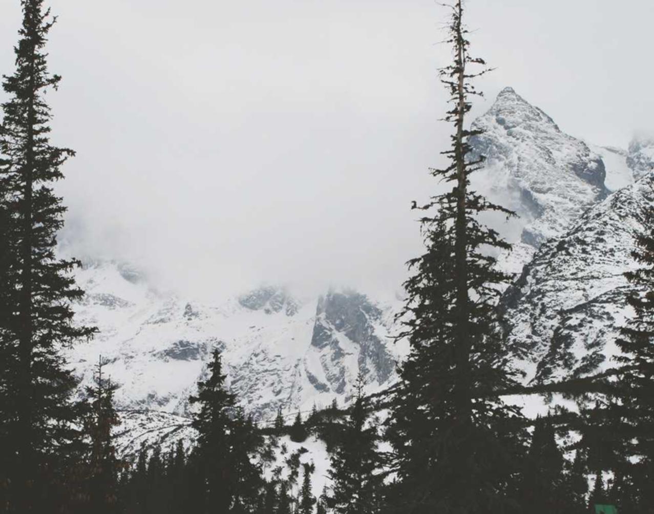 光辉2娱乐,注册|详情下载教程神圣计划app