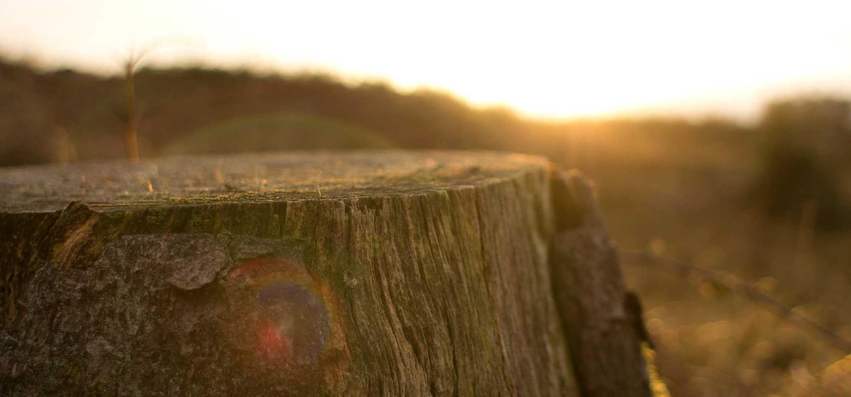 DDOS在线攻击平台|CRD软件详情下载教程app