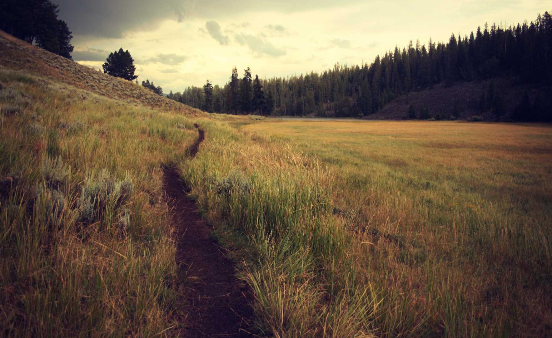 新宝gg投资营销和微博营销,你该选择哪一种?