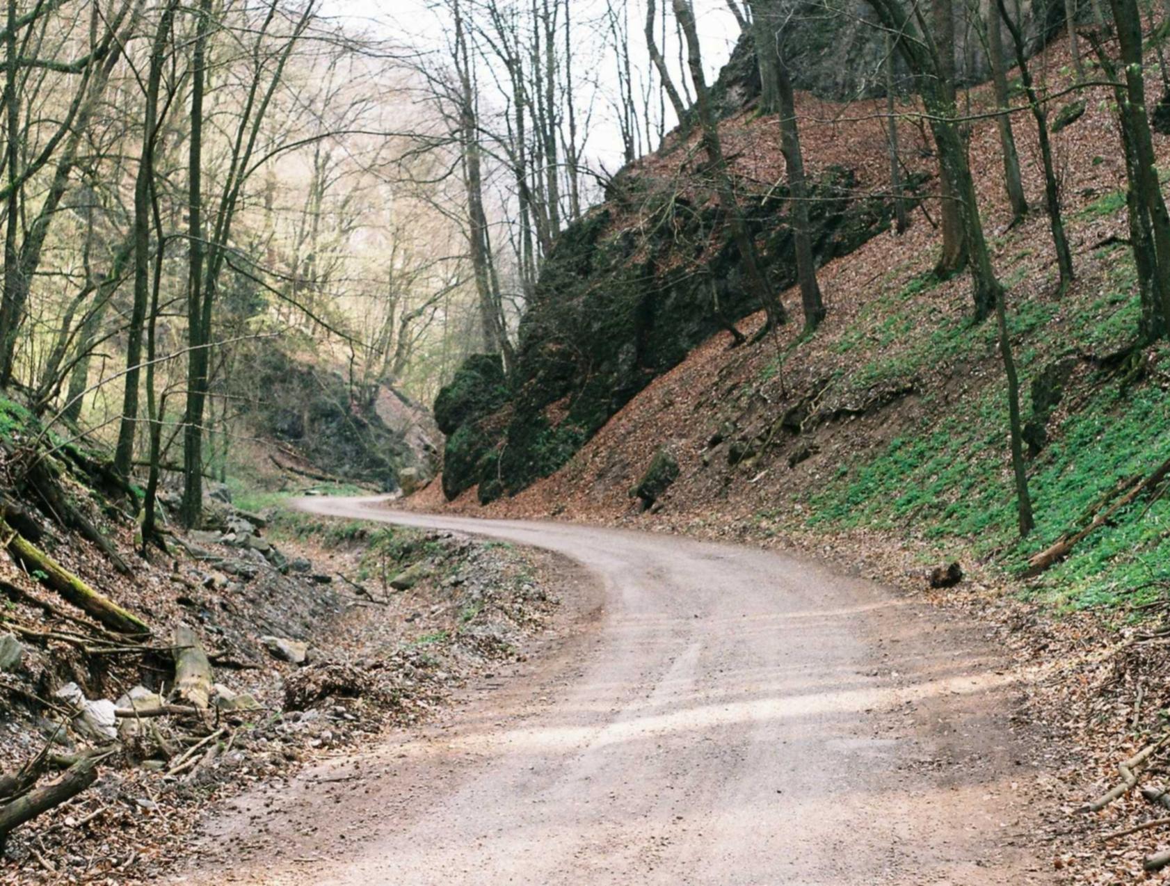 正规得流量卡:代理注册绍兴公司