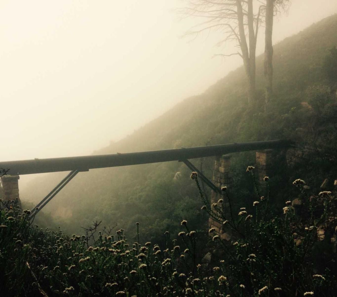 口香糖在戒烟中起到的作用