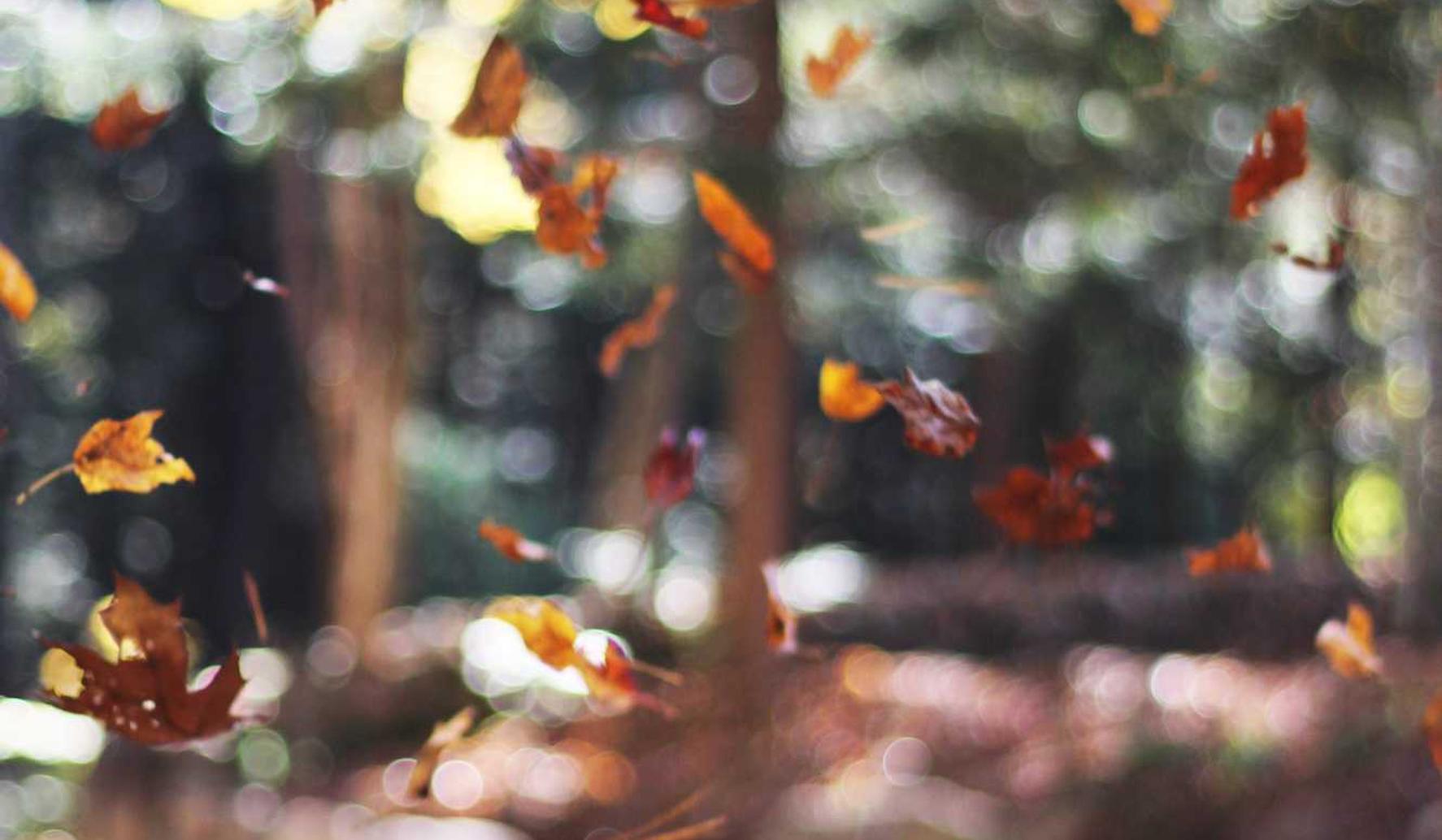 天上碑M台服辅助- 顺网账号注册