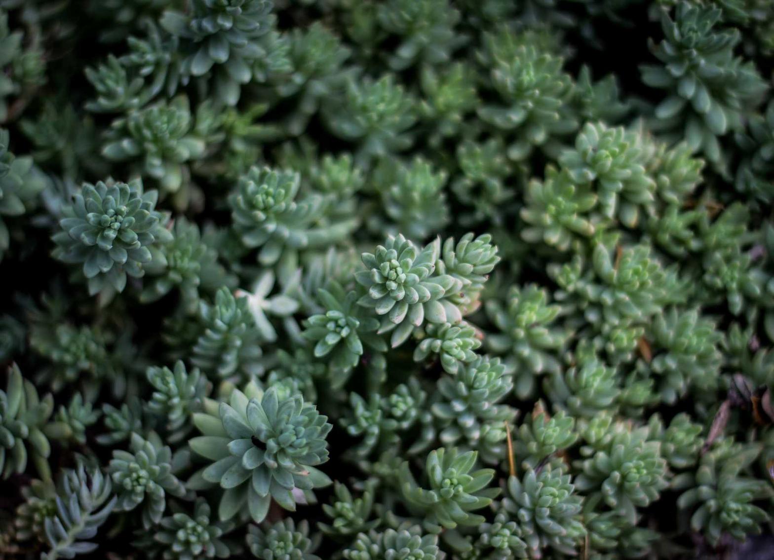 佛山代理公司注册地址要求