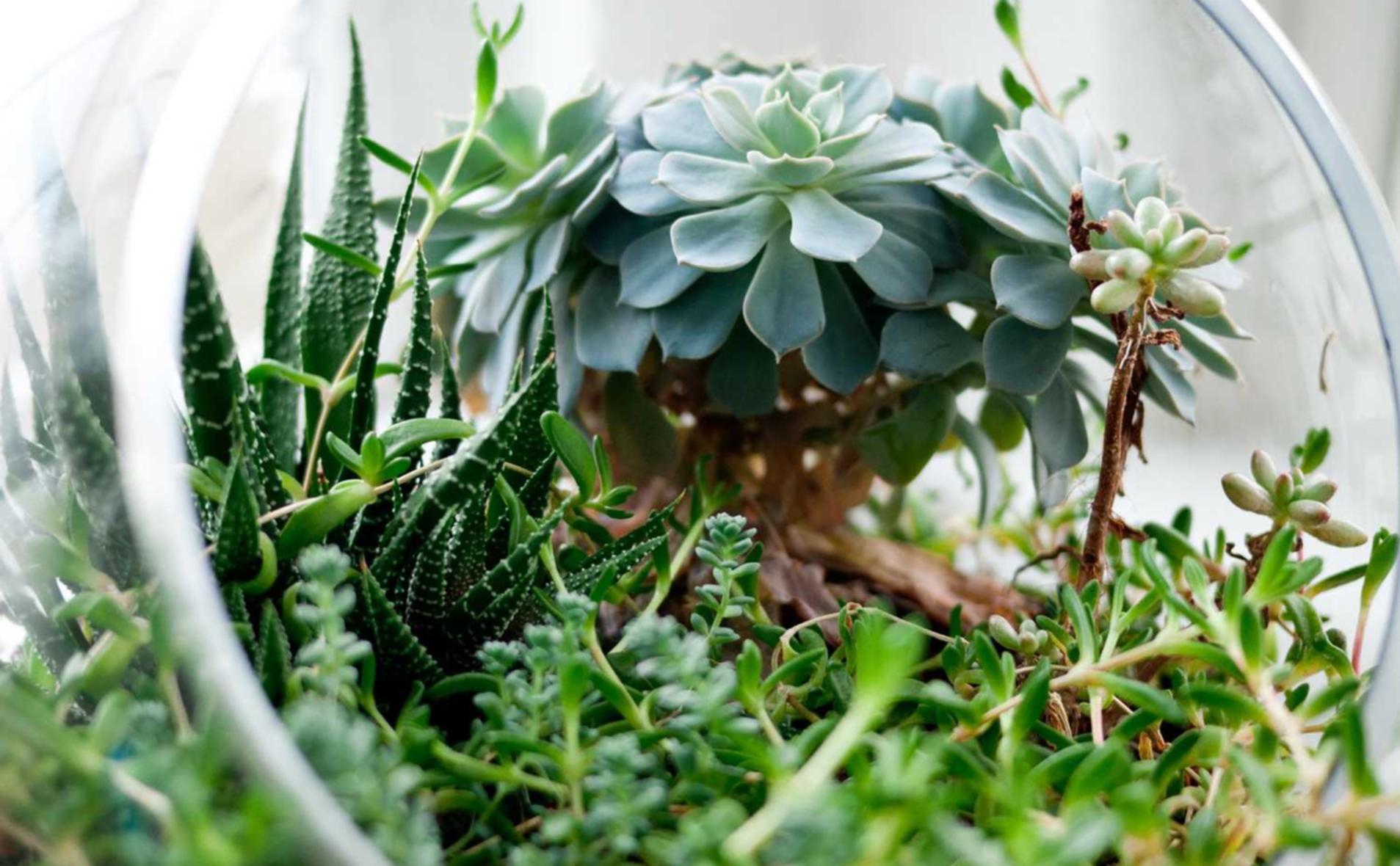 技术支持的使用对游戏杀戮的影响