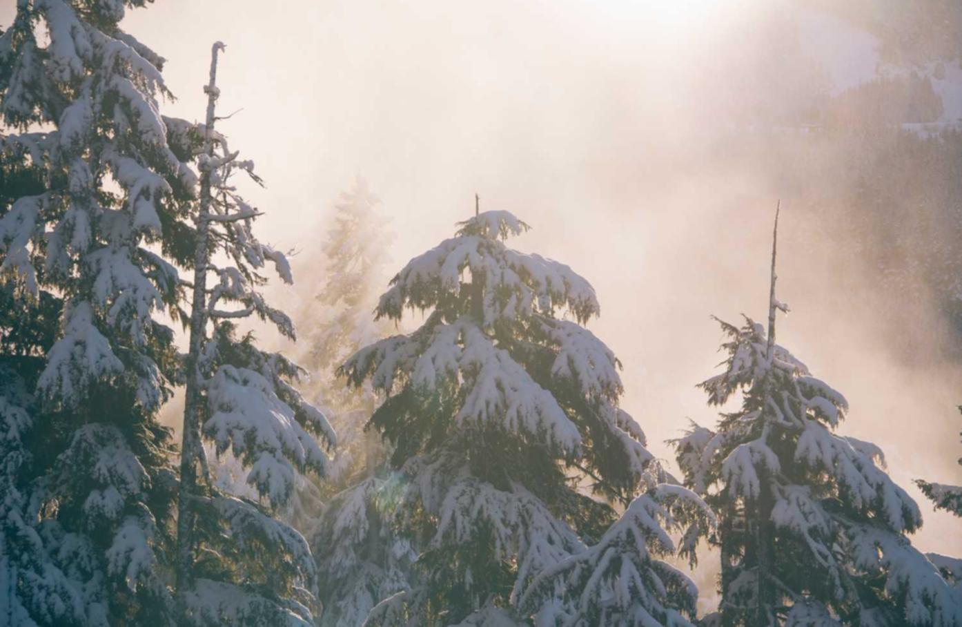 神耀三国注册账号