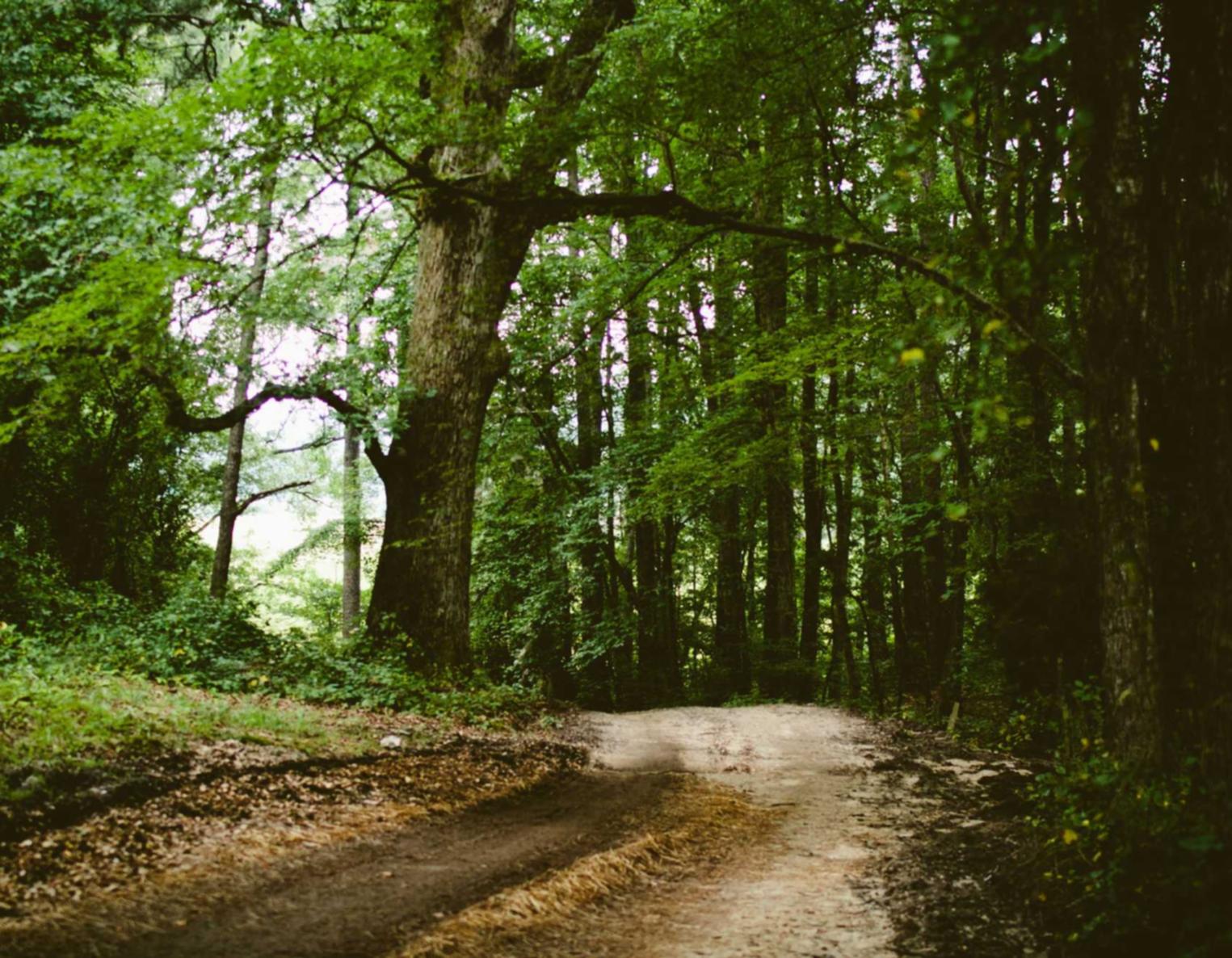 陇南企业注册代理收费吗