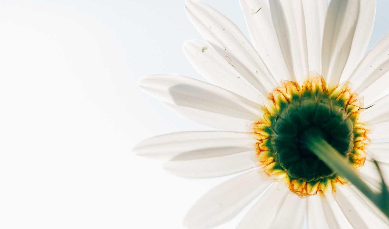 高淳区注册代理联系方式