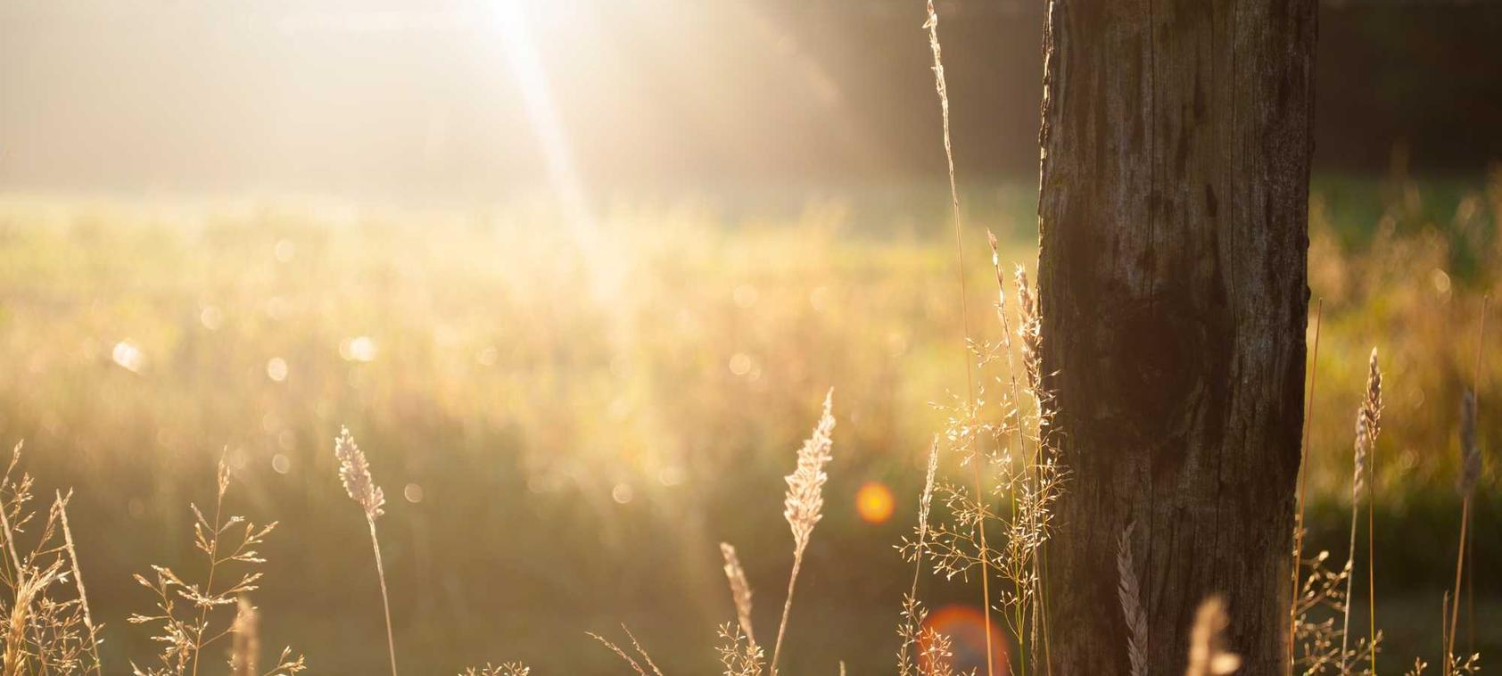 网信移动实名账号:聚金资本app详情下载教程