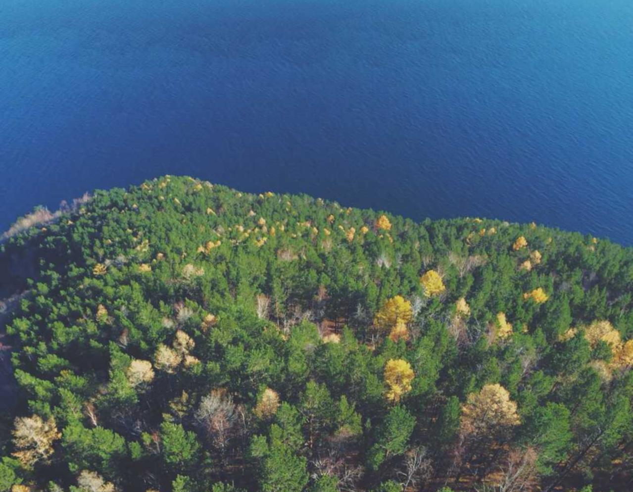 奉贤代理记账平台