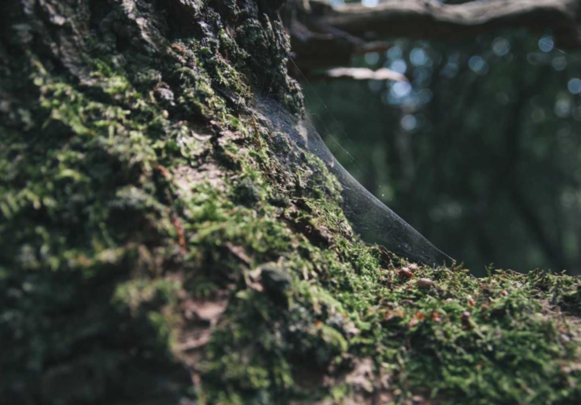 UDP攻击|临沂注册商贸公司代理加盟