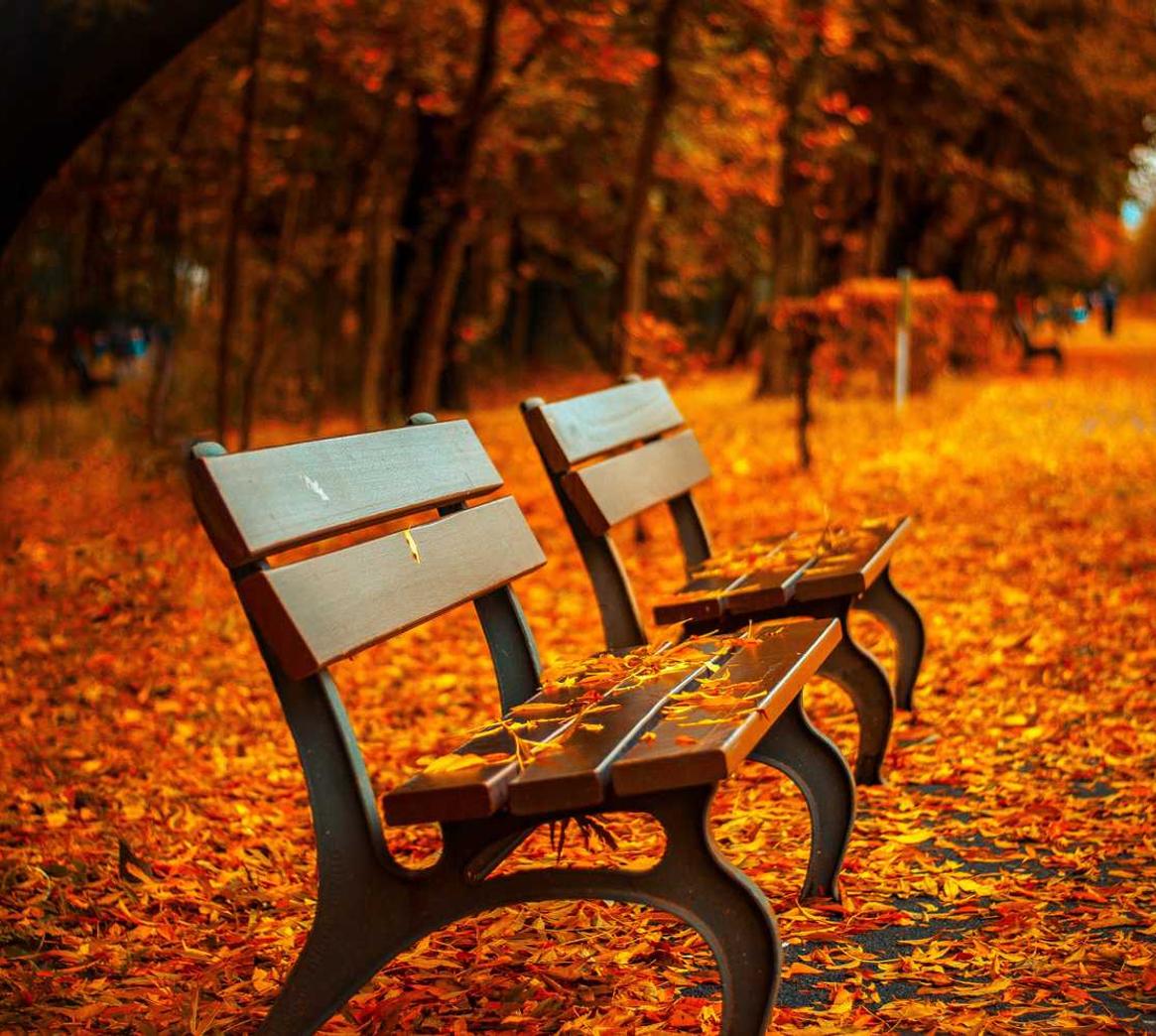 火星酷游平台代理商