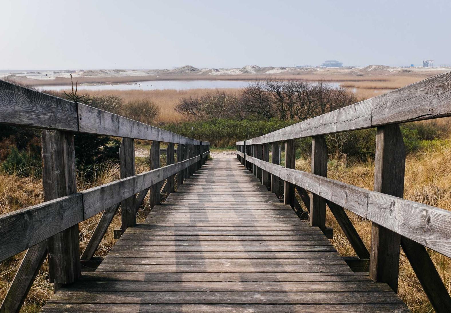 方盒万宝路草莓双爆珠:做微商代理平台