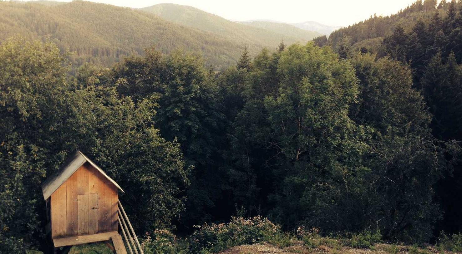 实名账号在在线支付中的重要性