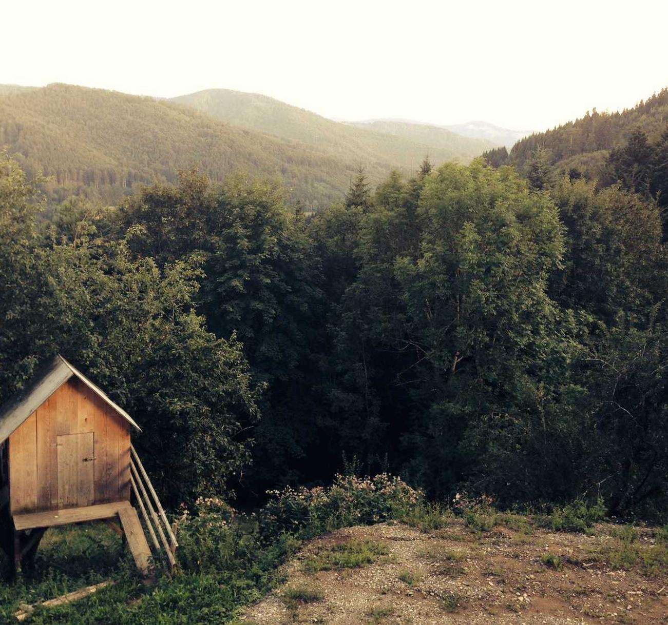 Peel百乐幻变爆珠(细):鲸鱼小说app详情下载教程