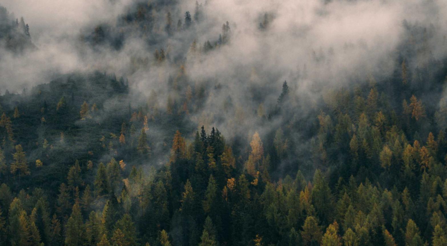 熊猫ip实名账号:流量卡同步充值问题:如何解决多张流量卡充值的问题?