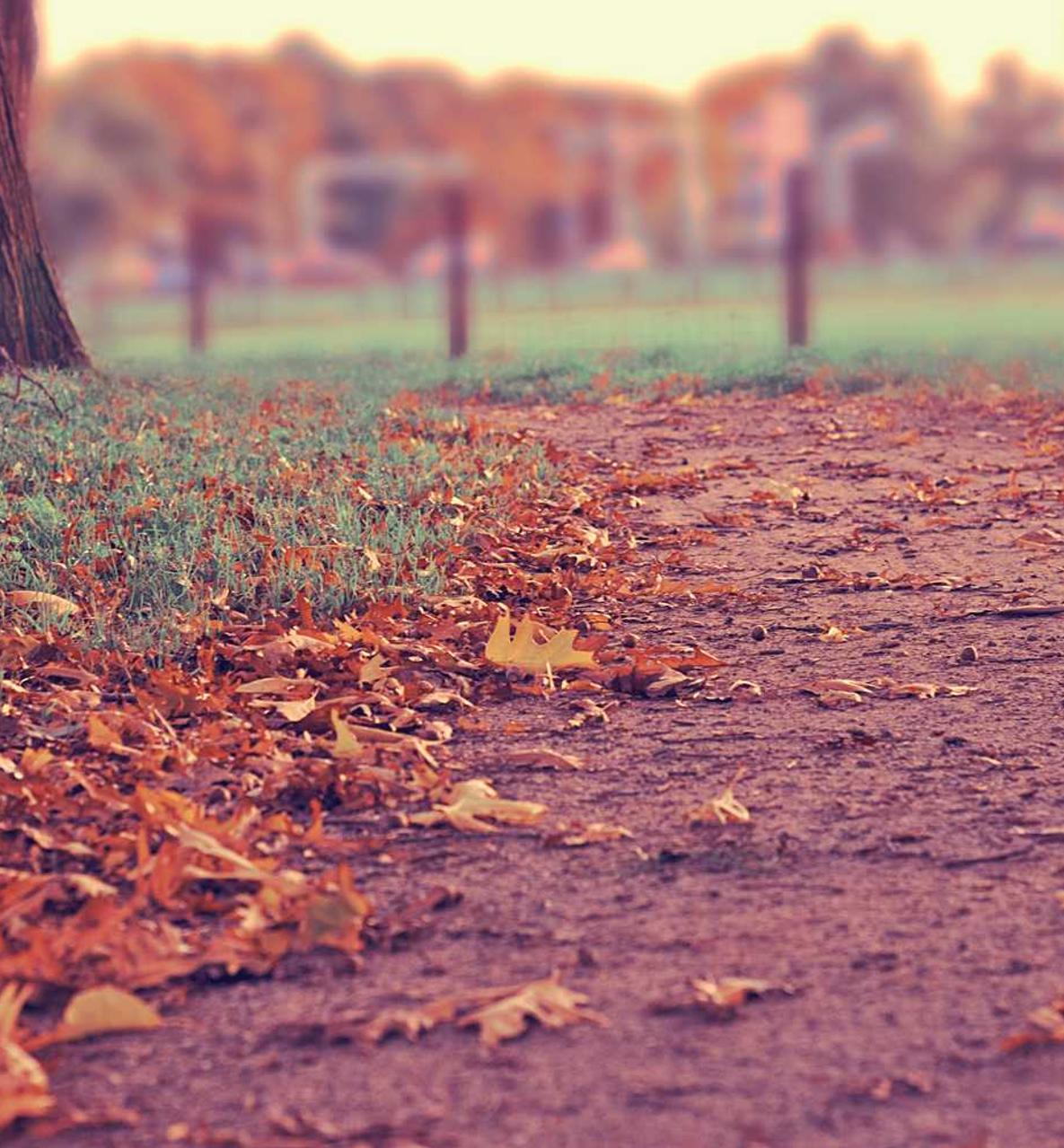 技术支持辅助和游戏运营商的冲突