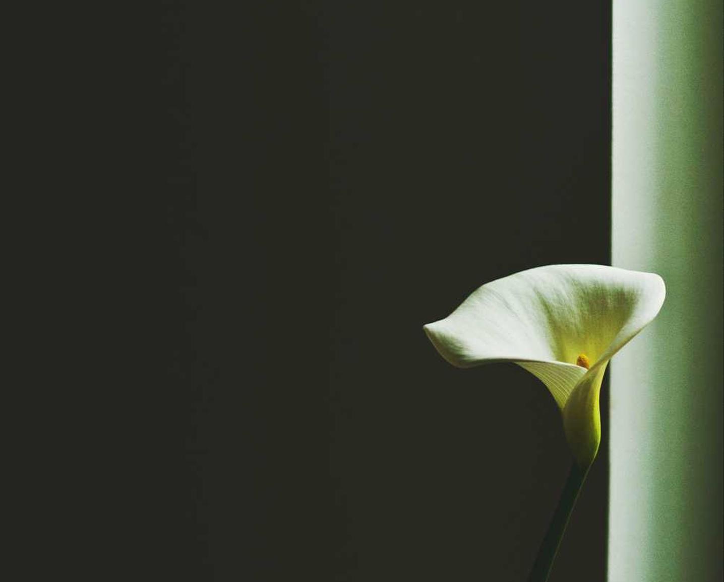 如何鉴别技术支持的炫技玩家和恶意攻击者？