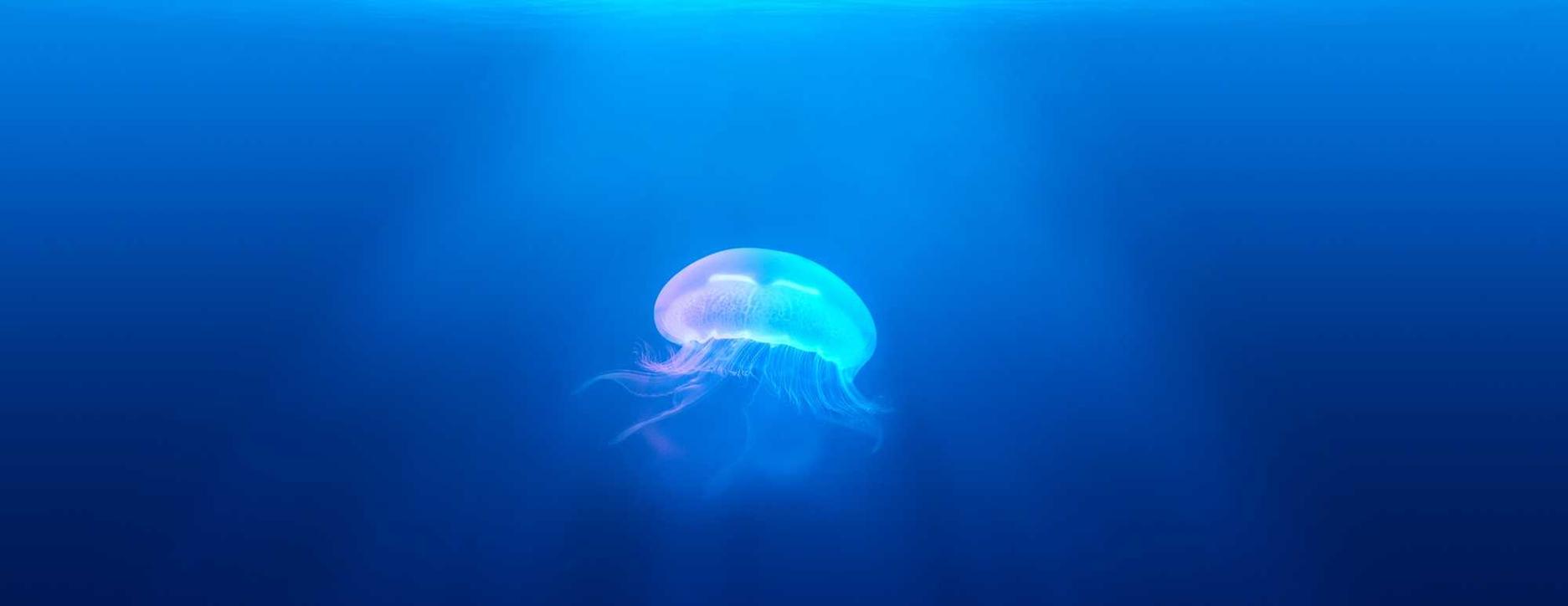 实名手机卡出售：手游盒子详情下载教程app