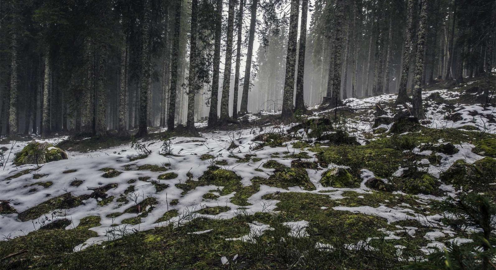 银盛通信实名账号：实名账号对于网络文学和作品的保障和管理