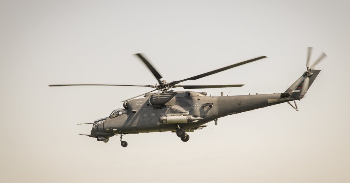 不朽之旅：消费券 详情下载教程app