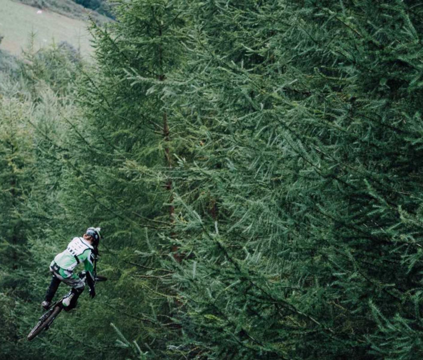 “香烟对免疫系统的影响”