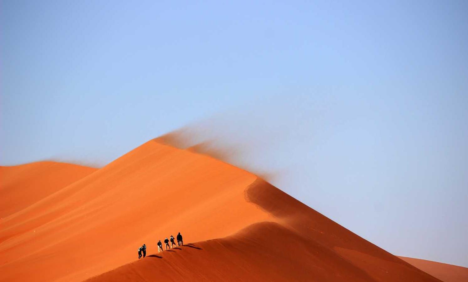 解读域名防止DDOS攻击- 饰品无货源代理平台