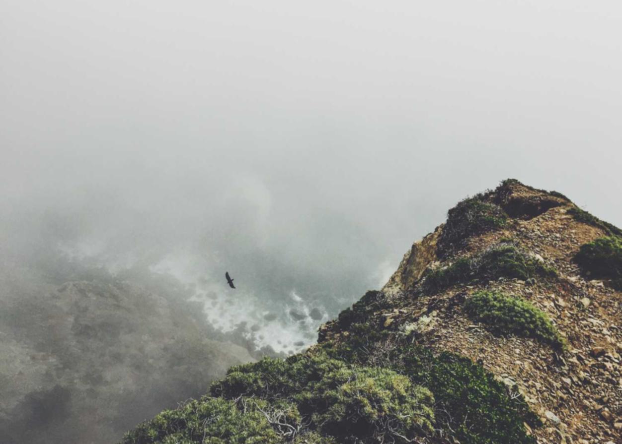 异界事务所辅助- 香港期货平台代理