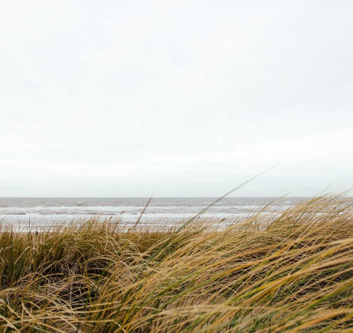 租微信号：上海除甲醛设备购买平台