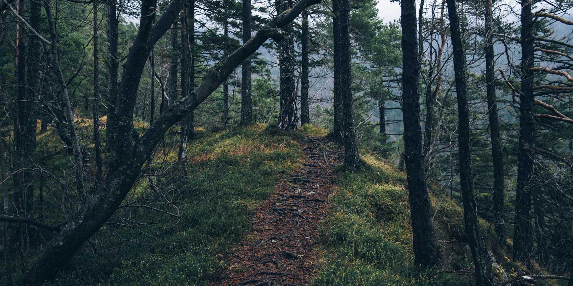 支付宝号买卖：实名制账号：网络支付的安全保障