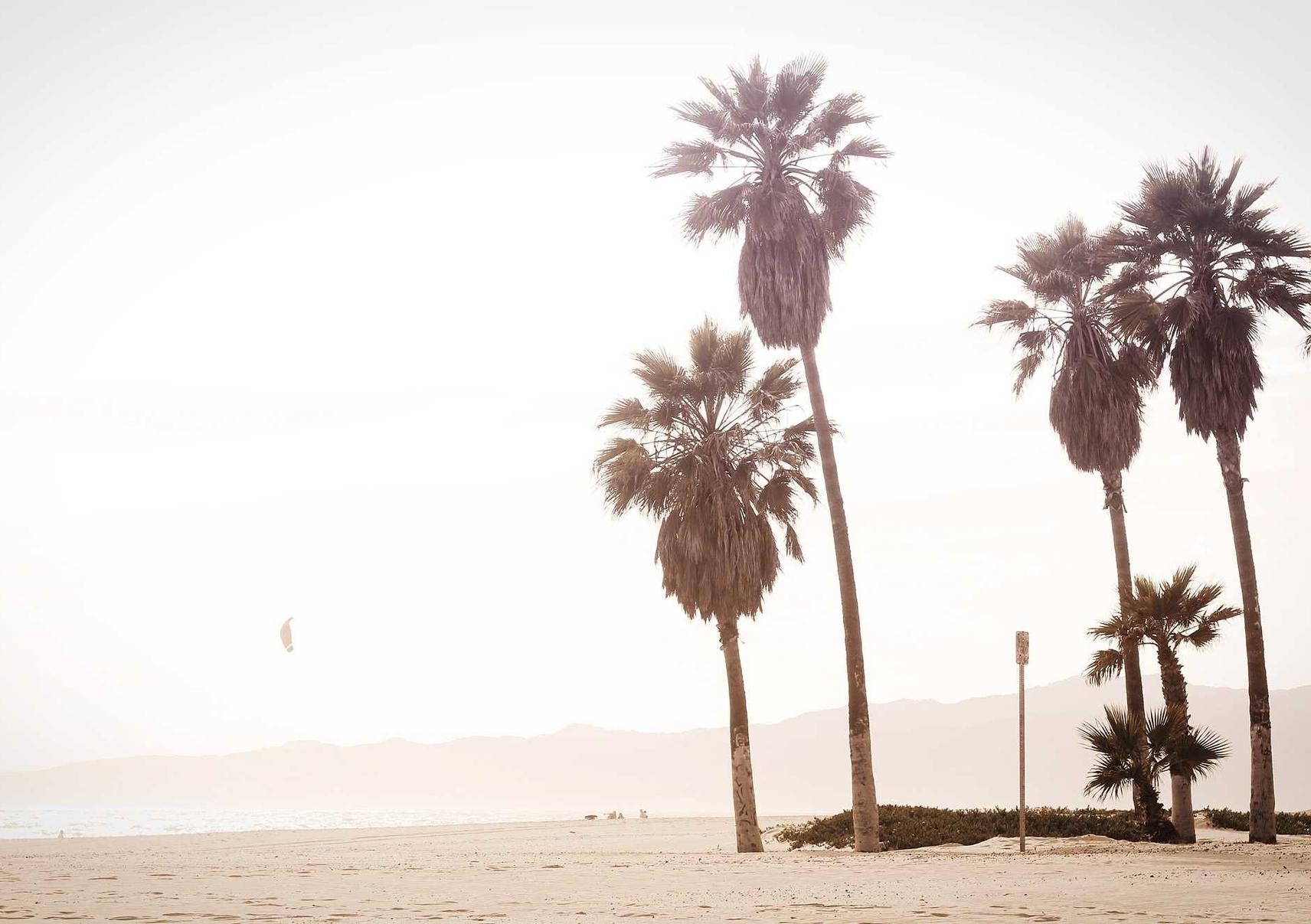 tcp攻击|如何检测网络钓鱼攻击并对抗