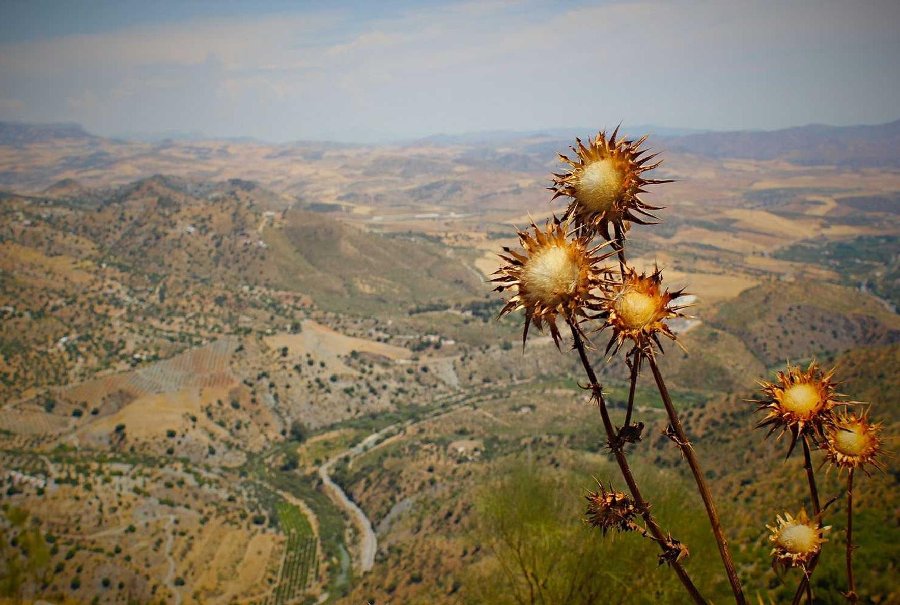上海交警app详情下载教程安装