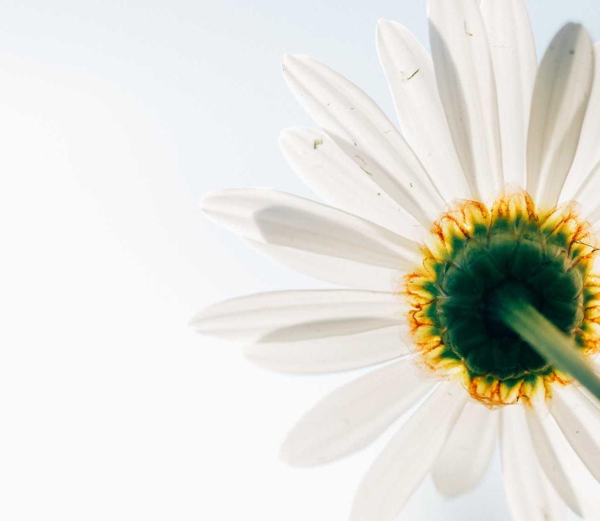 淘宝谷歌账号购买网站