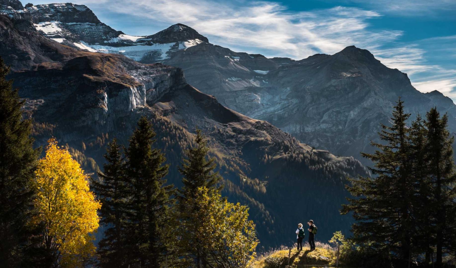 怎么详情下载教程app圣经