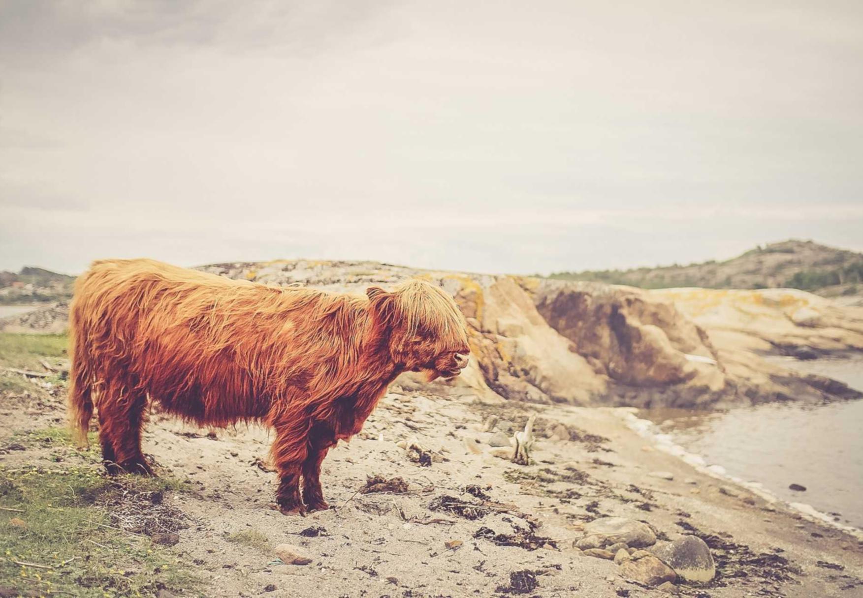 技术支持辅助给中国游戏产业带来的影响