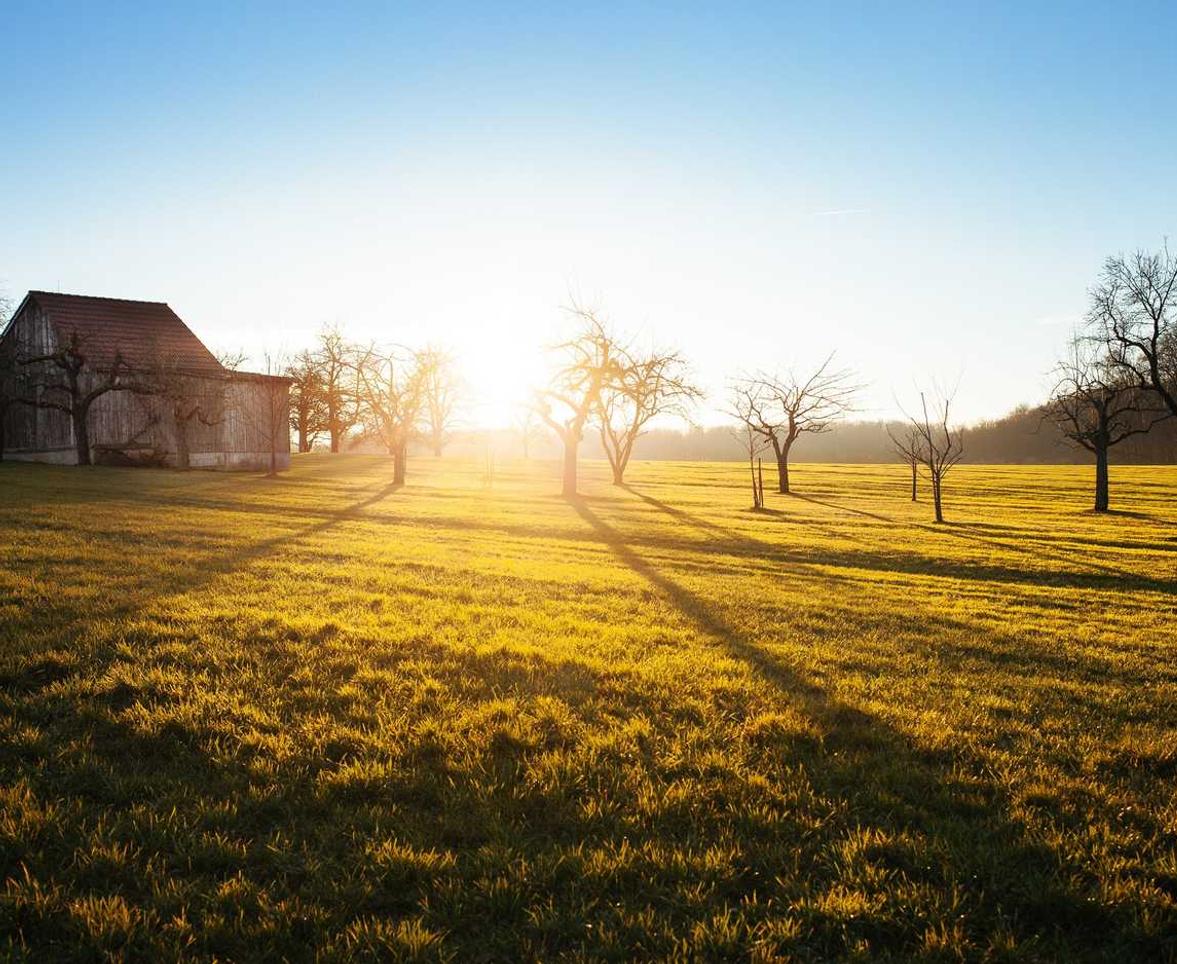 学生卡实名账号:kk直播app详情下载教程